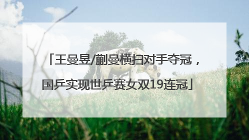王曼昱/蒯曼横扫对手夺冠，国乒实现世乒赛女双19连冠