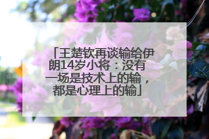 王楚钦再谈输给伊朗14岁小将：没有一场是技术上的输，都是心理上的输