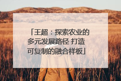王超：探索农业的多元发展路径 打造可复制的融合样板