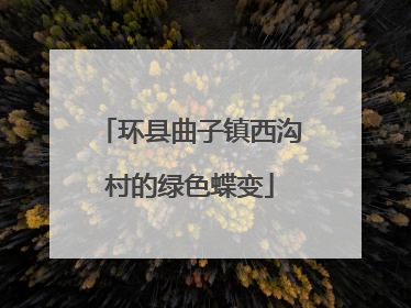 环县曲子镇西沟村的绿色蝶变