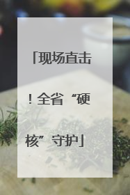 现场直击！全省“硬核”守护