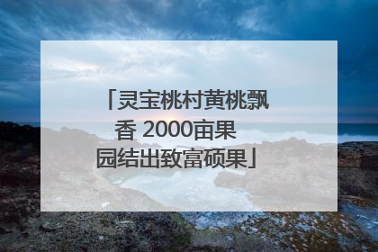 灵宝桃村黄桃飘香 2000亩果园结出致富硕果