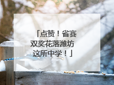 点赞！省赛双奖花落潍坊这所中学！