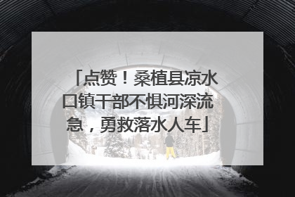 点赞！桑植县凉水口镇干部不惧河深流急，勇救落水人车