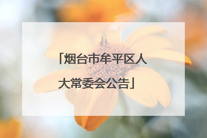 烟台市牟平区人大常委会公告
