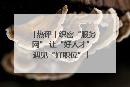 热评丨织密“服务网” 让“好人才”遇见“好职位”