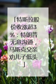 特斯拉股价收涨超3%：特朗普无意沟通，马斯克父亲劝儿子低头