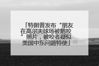 特朗普发布“朋友在高尔夫球场被鹅咬”照片，被咬者疑似美国中东问题特使