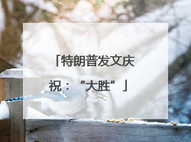 特朗普发文庆祝：“大胜”