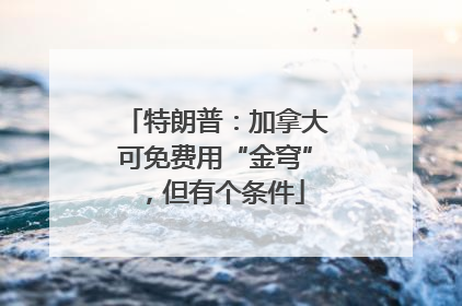 特朗普：加拿大可免费用“金穹”，但有个条件