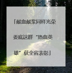 献血献浆同样光荣 娄底这群“热血英雄”获全省表彰