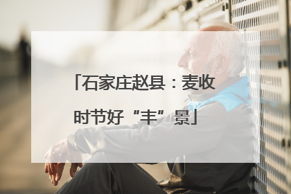石家庄赵县：麦收时节好“丰”景