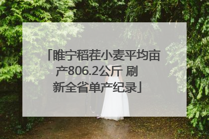 睢宁稻茬小麦平均亩产806.2公斤 刷新全省单产纪录