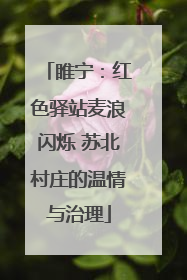 睢宁：红色驿站麦浪闪烁 苏北村庄的温情与治理