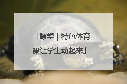 瞭望｜特色体育课让学生动起来
