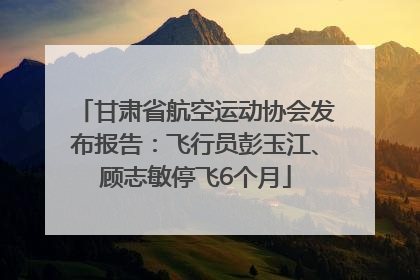 甘肃省航空运动协会发布报告：飞行员彭玉江、顾志敏停飞6个月