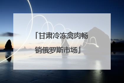 甘肃冷冻禽肉畅销俄罗斯市场