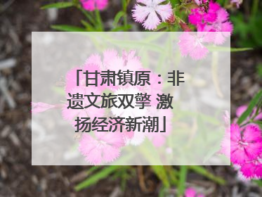 甘肃镇原：非遗文旅双擎 激扬经济新潮