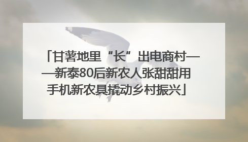 甘薯地里“长”出电商村——新泰80后新农人张甜甜用手机新农具撬动乡村振兴