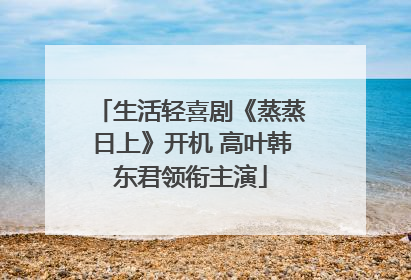 生活轻喜剧《蒸蒸日上》开机 高叶韩东君领衔主演