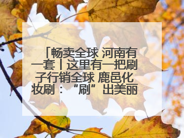 畅卖全球 河南有一套丨这里有一把刷子行销全球 鹿邑化妆刷：“刷”出美丽经济新世界