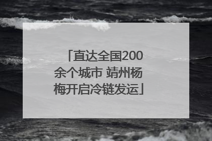 直达全国200余个城市 靖州杨梅开启冷链发运