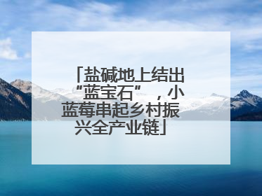 盐碱地上结出“蓝宝石”，小蓝莓串起乡村振兴全产业链