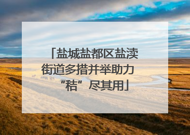 盐城盐都区盐渎街道多措并举助力“秸”尽其用