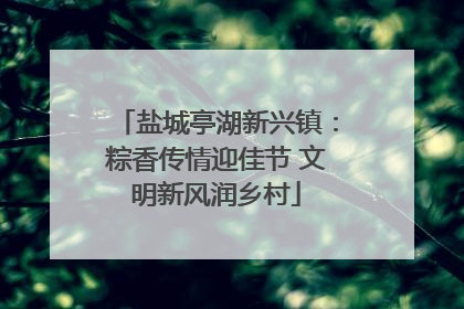 盐城亭湖新兴镇：粽香传情迎佳节 文明新风润乡村