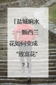 盐城响水：一颗西兰花如何变成“致富花”？