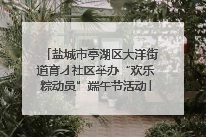 盐城市亭湖区大洋街道育才社区举办“欢乐粽动员”端午节活动