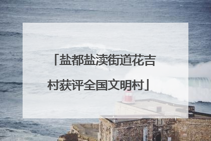 盐都盐渎街道花吉村获评全国文明村