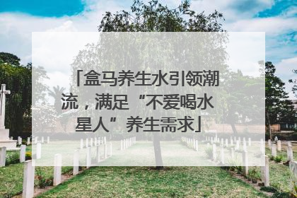 盒马养生水引领潮流，满足“不爱喝水星人”养生需求