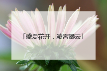 盛夏花开，凌霄攀云