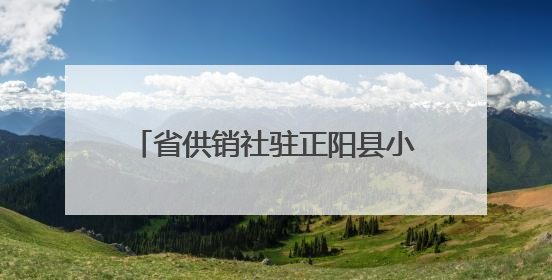 省供销社驻正阳县小陈村工作队 助力“三夏”护航丰收之路