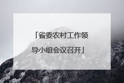 省委农村工作领导小组会议召开