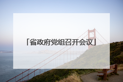 省政府党组召开会议