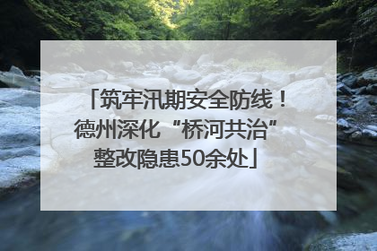 筑牢汛期安全防线！德州深化“桥河共治”整改隐患50余处