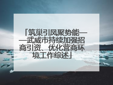 筑巢引凤聚势能——武威市持续加强招商引资、优化营商环境工作综述