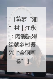 筑梦“湘”村｜江永：肉鸽振翅绘就乡村振兴“金羽画卷”