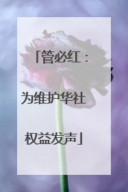 管必红：为维护华社权益发声