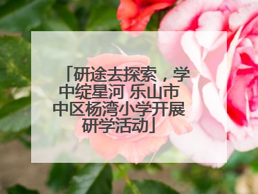 研途去探索，学中绽星河 乐山市中区杨湾小学开展研学活动