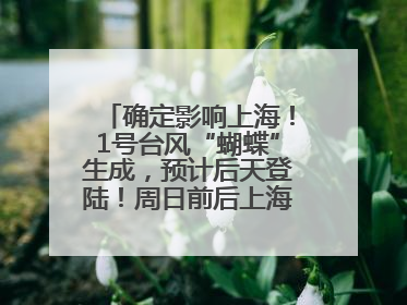 确定影响上海！1号台风“蝴蝶”生成，预计后天登陆！周日前后上海有明显降水