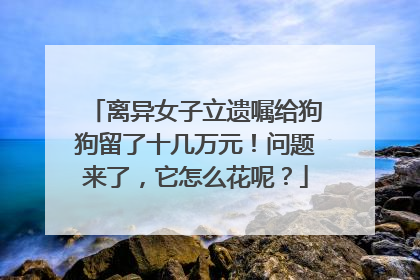离异女子立遗嘱给狗狗留了十几万元！问题来了，它怎么花呢？