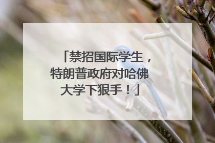 禁招国际学生，特朗普政府对哈佛大学下狠手！