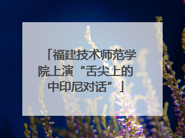 福建技术师范学院上演“舌尖上的中印尼对话”