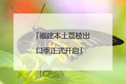 福建本土荔枝出口季正式开启