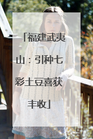 福建武夷山：引种七彩土豆喜获丰收