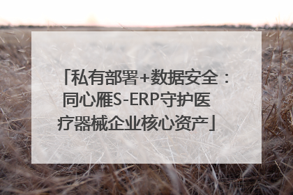 私有部署+数据安全：同心雁S-ERP守护医疗器械企业核心资产