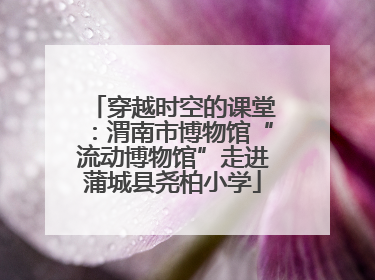 穿越时空的课堂：渭南市博物馆“流动博物馆”走进蒲城县尧柏小学